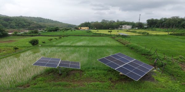 ఏపీలో పారిశ్రామిక ప్రాంతాల పచ్చదనం పెంపునకు చర్యలు