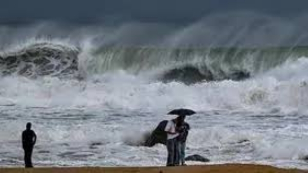 కార్గో కార్గో