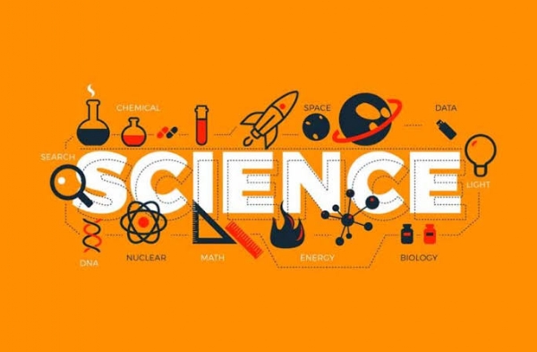 Science Science