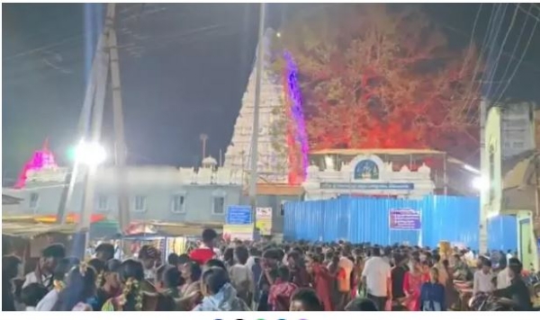 shivaratri-celebrations-in-telugu-states-524328