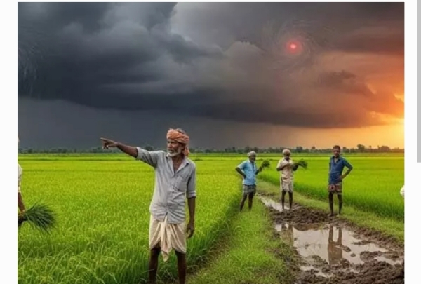 వర్షాలు వర్షాలు