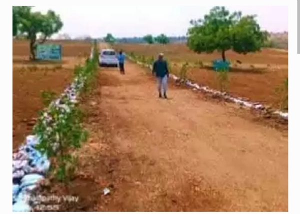 రియల్ ఎస్టేట్ రియల్ ఎస్టేట్