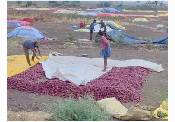 అకాల వర్షం అకాల వర్షం