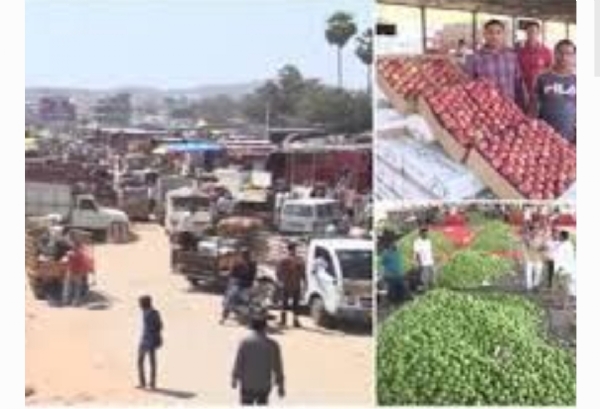 Fruit market Fruit market