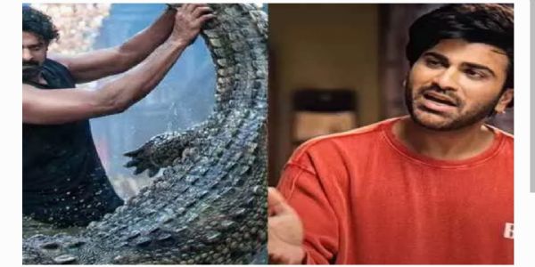 బుల్లితెర ప్రేక్షకులకు పండగ.. ఈ వారం థియేటర్, OTTల్లోకి రాబోయే సినిమాలు