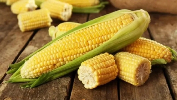 Is Sweet Corn Safe for Diabetes, Impact on Blood Sugar Leve