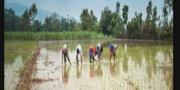 రైతులకు ఉగాది కానుక.. నేడే ‘అన్నదాత సుఖీభవ’ మూడో విడత నిధులు