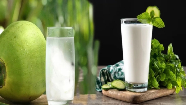coconut-water-vs-buttermilk-which-is-the-best-summer-drink-for-hydrati