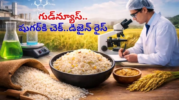 Good News for Rice Lovers: India Develops Low GI Hi