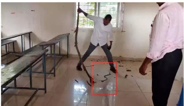 /students-ran-away-from-exam-hall-in-kadapa-district-532532