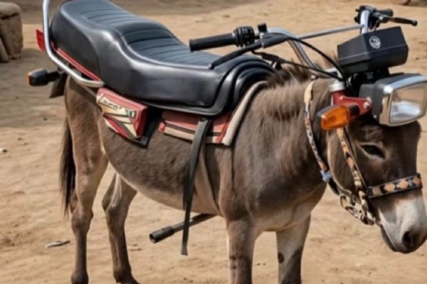 prakash-raj-viral-donkey-bike-photo-sparks-debate