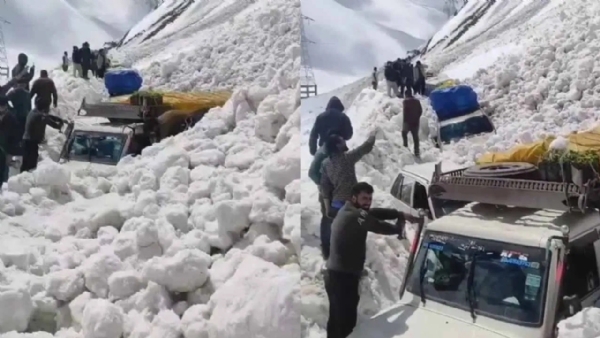 Jammu Kashmir: Seven killed, several injured after avalanche