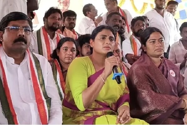 షర్మిల షర్మిల