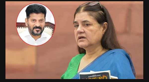 Menaka gandhi Menaka gandhi