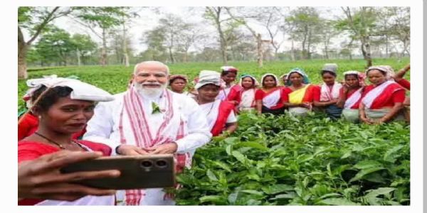 తేయాకు అస్సాం యొక్క ఆత్మ ప్రధాని మోదీ