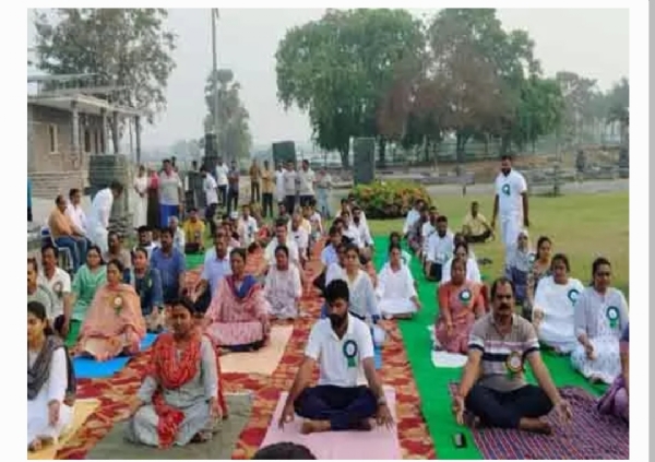 కలెక్టర్ కలెక్టర్