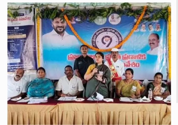 కలెక్టర్ కలెక్టర్