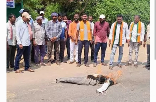 కరీంనగర్