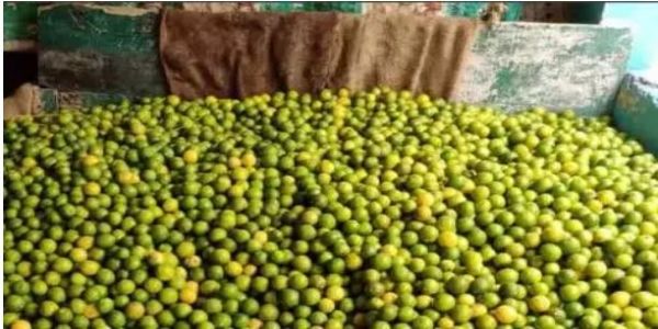 నిమ్మకాయలు బస్తా రూ.10 వేలు