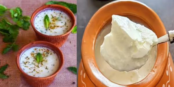 పెరుగు vs మజ్జిగ..ఎండాకాలంలో ఏది తింటే మంచిది? నిపుణుల సూచన