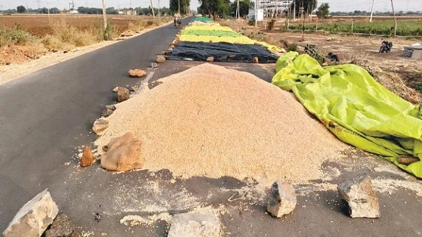 Piles of grain on the roads... a nuisance for travelers