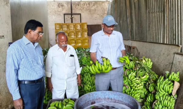 kurnool/kurnool-mandi-market-food-safety-raids-150743