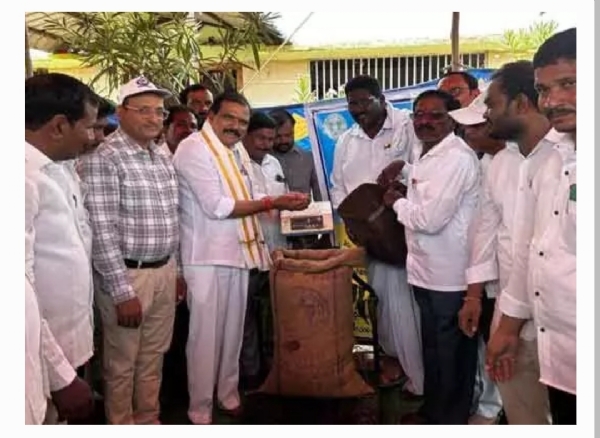 Mla
