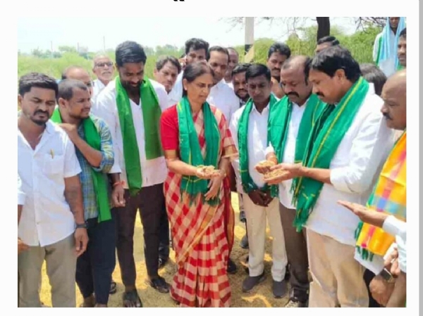 MLA MLA
