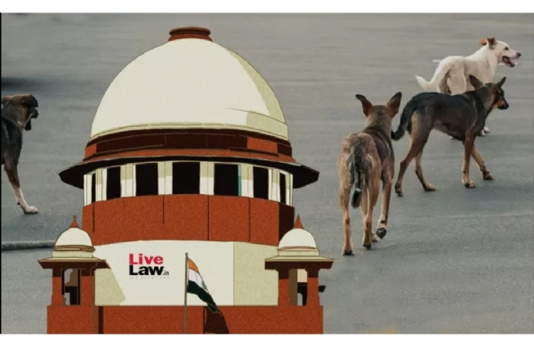 Supreme court