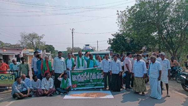 మొక్కజొన్న రైతులను ఆదుకోండి: