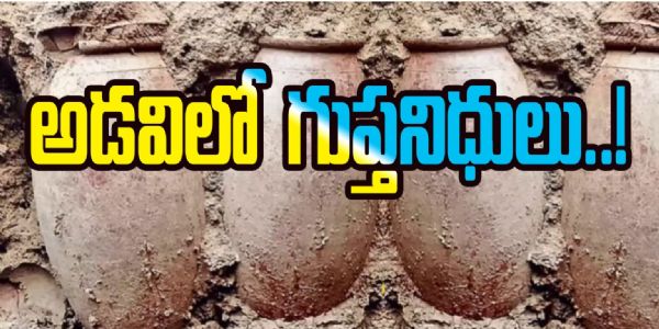 అర్ధరాత్రి టైగర్ రిజర్వ్ అడవిలో  – బయటపడ్డ గుప్త నిధుల మట్టికుండలు