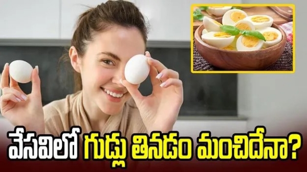 Can we eat eggs in summer how many eggs to eat per day Sj Can we eat eggs in summer how many eggs to eat per day Sj