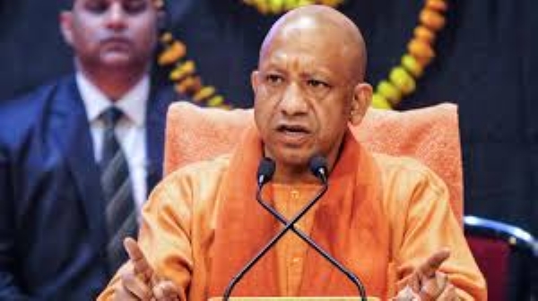 yogi