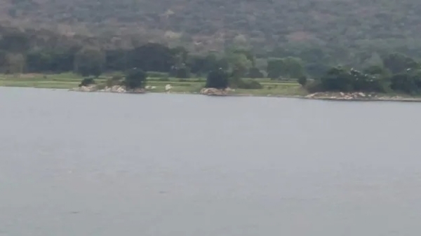 Water level in Rayala Lake has decreased Water level in Rayala Lake has decreased