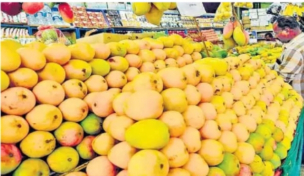 mango-prices-have-fallen-sharply-546412
