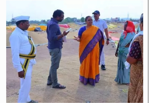 కలెక్టర్