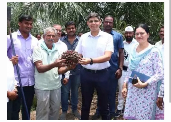 కలెక్టర్