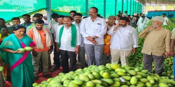మామిడి మార్కెట్ ను పరిశీలించిన ఎమ్మెల్యే పరిటాల సునీత
