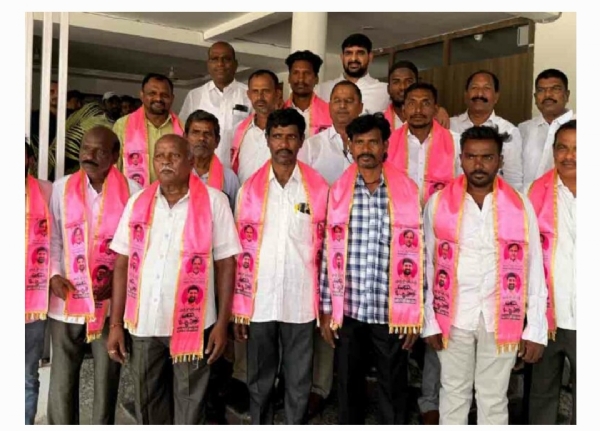 Mla Mla