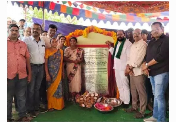 Mla