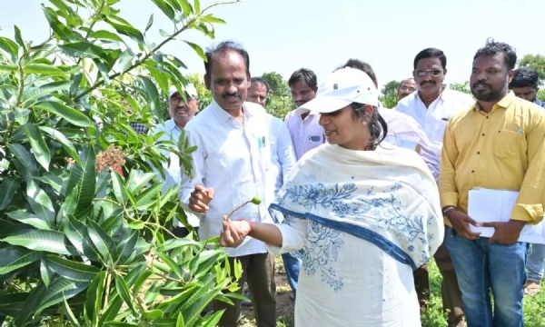 జిల్లా కలెక్టర్ దేవనకొండ, పత్తికొండ మండలాల్లో ముమ్మరంగా పర్యటన