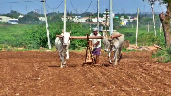 వ్యవసాయ రంగానికి సవాల్గా వాతావరణ మార్పులు వ్యవసాయ రంగానికి సవాల్గా వాతావరణ మార్పులు