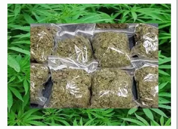 Ganja