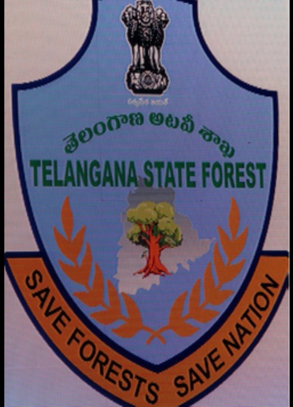 ForestForest