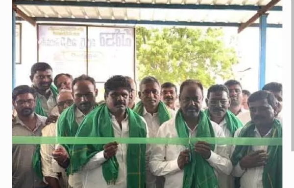 MLA MLA