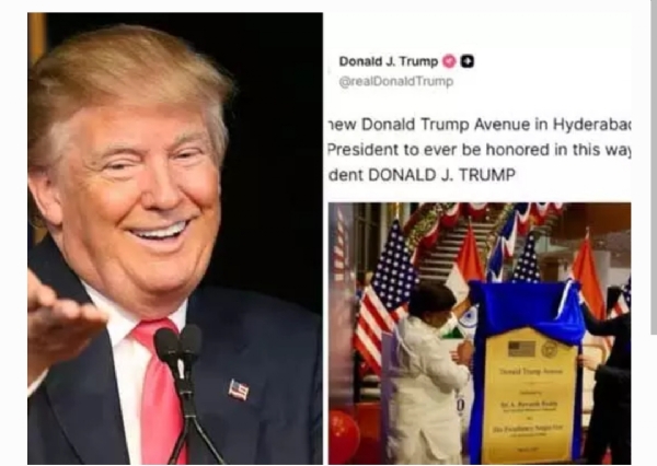 Trump Trump