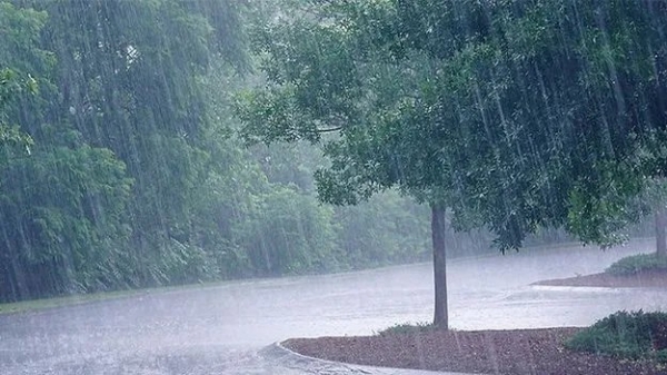 rain