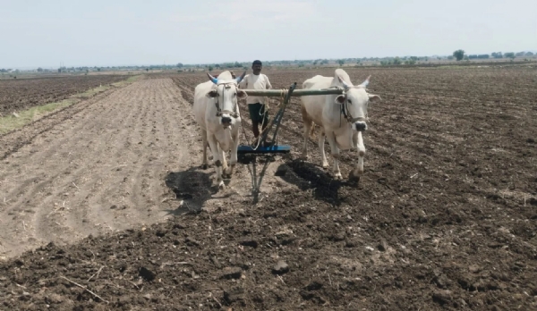 అన్నదాతలు… అన్నదాతలు…