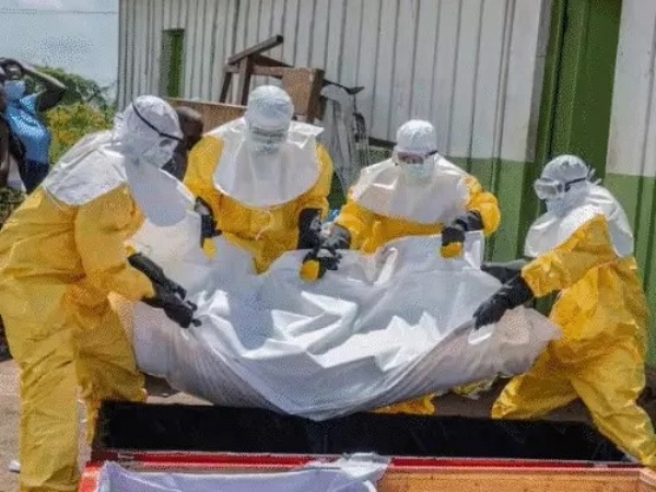 First suspected case of Ebola in Gujarat, a person from Vadodara admitted in Ahmedabad First suspected case of Ebola in Gujarat, a person from Vadodara admitted in Ahmedabad