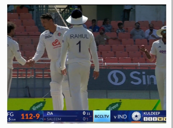 Cricket
